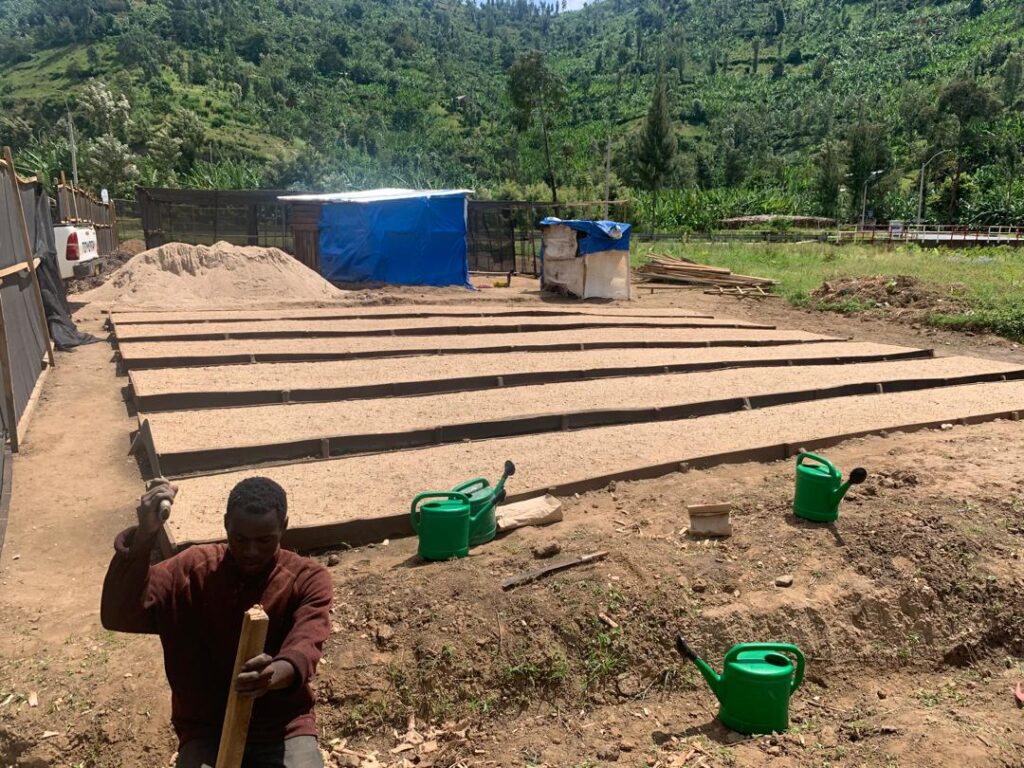 Restoring Land and Improving Livelihoods: The New Macadamia Nursery Bed in Bwishyura Sector, Karongi District